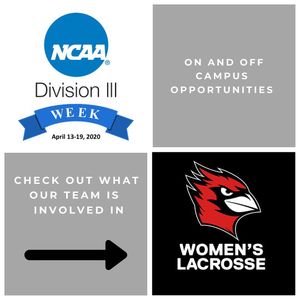 Image post by @wes_wlax on Instagram