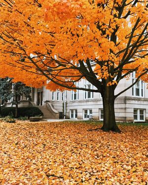 Image post by @olivetnazarene on Instagram