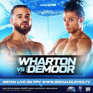 Image post by @socialgloves on Instagram