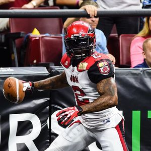Image post by @jaxsharks on Instagram