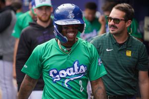 Image post by @hartfordyardgoats on Instagram