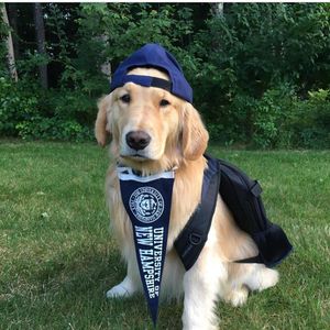 Image post by @uofnh on Instagram