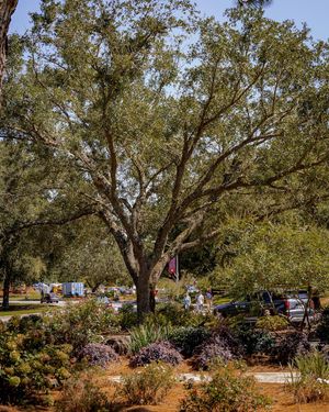 Image post by @uofsouthalabama on Instagram