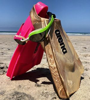Image post by @arenausa on Instagram