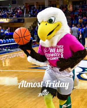 Image post by @fgcudirtybirds on Instagram