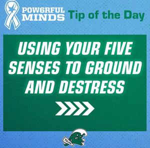 Image post by @greenwavesaac on Instagram