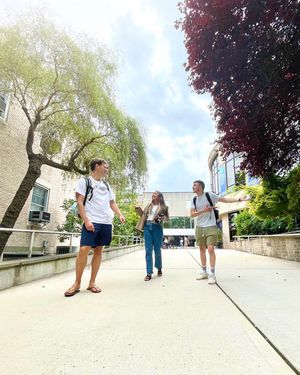 Image post by @hofstrau on Instagram