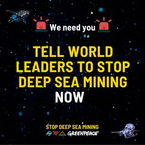 Image post by @greenpeaceusa on Instagram