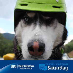 Image post by @bestwestern on Instagram
