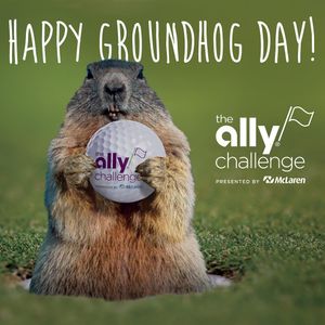 Image post by @allychallenge on Instagram