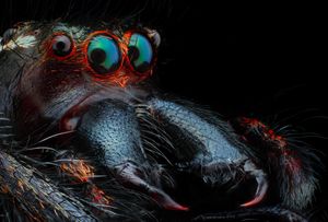 Image post by @ScienceChannel on Twitter
