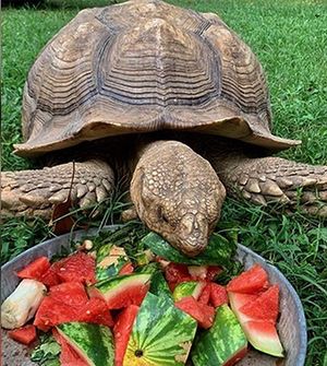 Image post by @wkrntv on Instagram