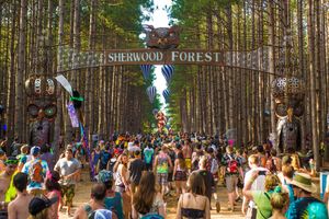 Image post by @electric_forest on Instagram