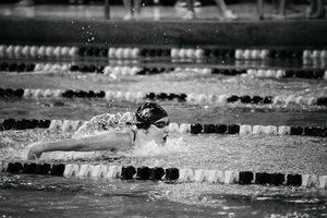 Image post by @mkepanthers on Instagram