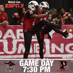 Image post by @jaxsharks on Instagram
