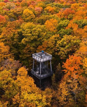 Image post by @dronepals on Instagram