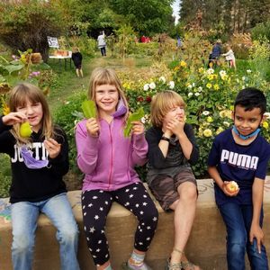 Image post by @kidsgardening on Instagram