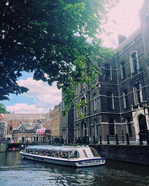 Image post by @mollybdon on Instagram