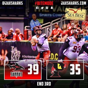 Image post by @jaxsharks on Instagram