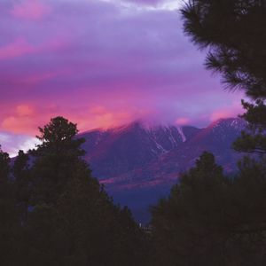 Image post by @nauflagstaff on Instagram