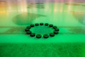 Image post by @WHLsilvertips on Twitter