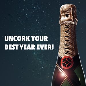 Image post by @stellaragency on Instagram