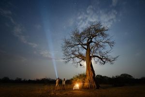 Image post by @chiawasafaris on Instagram