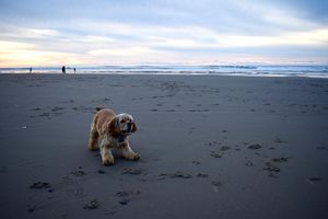Image post by @darbywinterphoto on Instagram