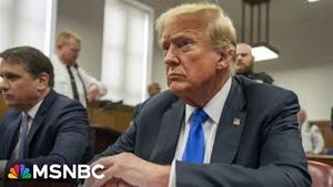 Video post by @msnbc on YouTube