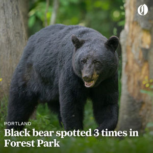 Image post by @theoregonian on Instagram