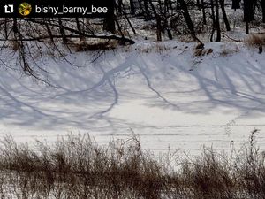 Image post by @fargoparks on Instagram