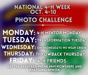 Image post by @northcarolina4h on Instagram