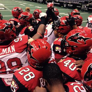 Image post by @jaxsharks on Instagram
