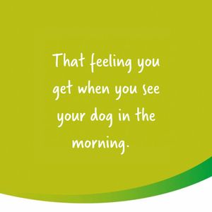 Image post by @yumove_usa on Instagram