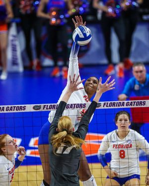 Image post by @GatorsVB on Twitter