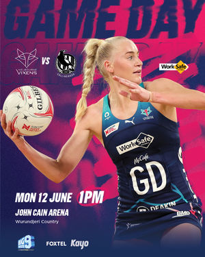 Image post by @melbournevixens on Instagram