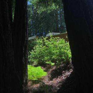 Image post by @ucsc on Instagram