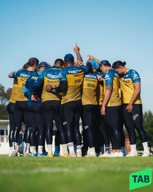 Image post by @theparraeels on Instagram