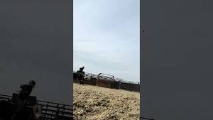 Video post by @pbr on YouTube