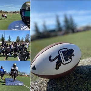 Image post by @panthersifl on Instagram