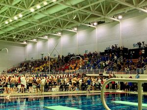 Image post by @ugaswimdive on Instagram