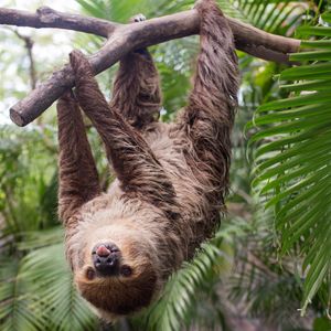 Image post by @animalplanet on Instagram