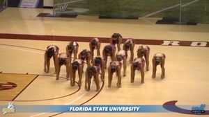 Image post by @fsugoldengirls on Instagram