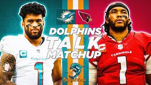 Video post by @dolphinstalk on YouTube