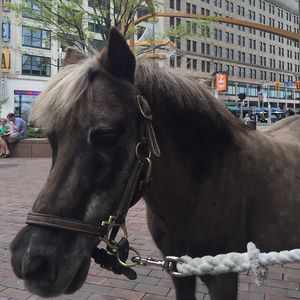 Image post by @playhousesquare on Instagram
