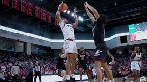 Video post by @Hailey Wilkinson on YouTube