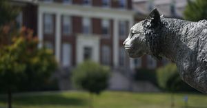 Image post by @uofnh on Instagram