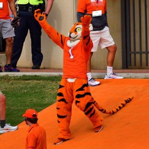 Image post by @thetiger_cu on Instagram