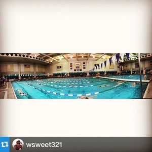 Image post by @wheatonlyons on Instagram
