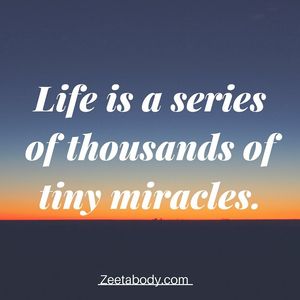 Image post by @zeetabody on Instagram